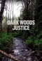Poster for Dark Woods Justice