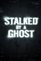 Poster for Stalked by a Ghost