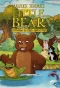 Poster for Little Bear