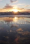 Poster for Anamnesis