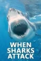 Poster for When Sharks Attack