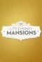 Poster for Little Money Mansions