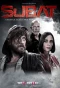 Poster for Şubat