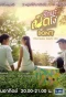 Poster for Ugly Duckling Series: Don't