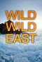 Poster for Wild Wild East