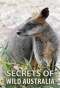 Poster for Secrets of Wild Australia