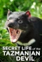 Poster for Secret Life of the Tasmanian Devil