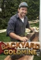 Poster for Backyard Goldmine