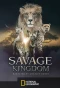 Poster for Savage Kingdom