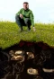Poster for The Burrowers: Animals Underground