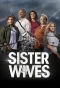 Poster for Sister Wives
