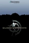 Poster for Survivorman