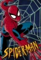 Poster for Spider-Man