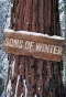 Poster for Sons of Winter