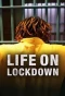 Poster for Life on Lockdown