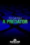 Poster for To Catch a Predator