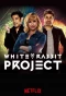 Poster for White Rabbit Project