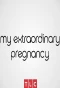 Poster for My Extraordinary Pregnancy