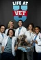 Poster for Life at Vet U