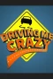 Poster for Driving Me Crazy