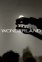 Poster for MTV Wonderland