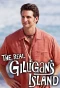 Poster for The Real Gilligan's Island