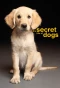 Poster for The Secret Life of...