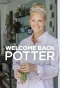 Poster for Welcome Back Potter
