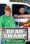 Poster for Bear Swamp Recovery