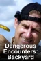 Poster for Dangerous Encounters: Backyard Monsters
