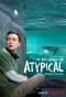 Poster for Atypical