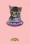 Poster for Meet the Kittens