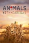 Poster for Animals with Cameras