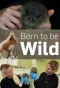 Poster for Born to Be Wild