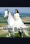 Poster for The Moon Stallion