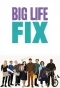 Poster for The Big Life Fix