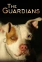 Poster for The Guardians