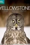 Poster for Yellowstone: Wildest Winter to Blazing Summer