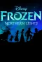 Poster for LEGO Frozen Northern Lights