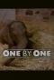 Poster for One by One
