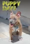 Poster for Puppy Days