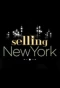 Poster for Selling New York