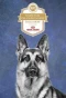 Poster for AKC National Championship Dog Show