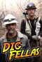 Poster for Digfellas