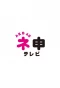 Poster for AKB48 Nemousu TV