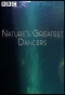 Poster for Nature's Greatest Dancers