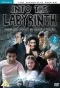 Poster for Into the Labyrinth