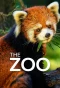 Poster for The Zoo