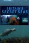 Poster for Britain's Secret Seas