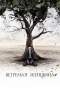 Poster for Ветреная женщина